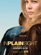 In Plain Sight – Protezione Testimoni