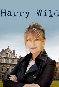Harry Wild – La signora del delitto